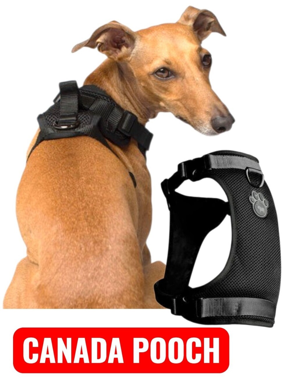 🐶 Dog Harness Breathable Black Mesh - Size Medium - NWT Canada Pooch